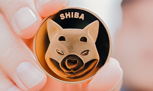 Shiba Inu Coin